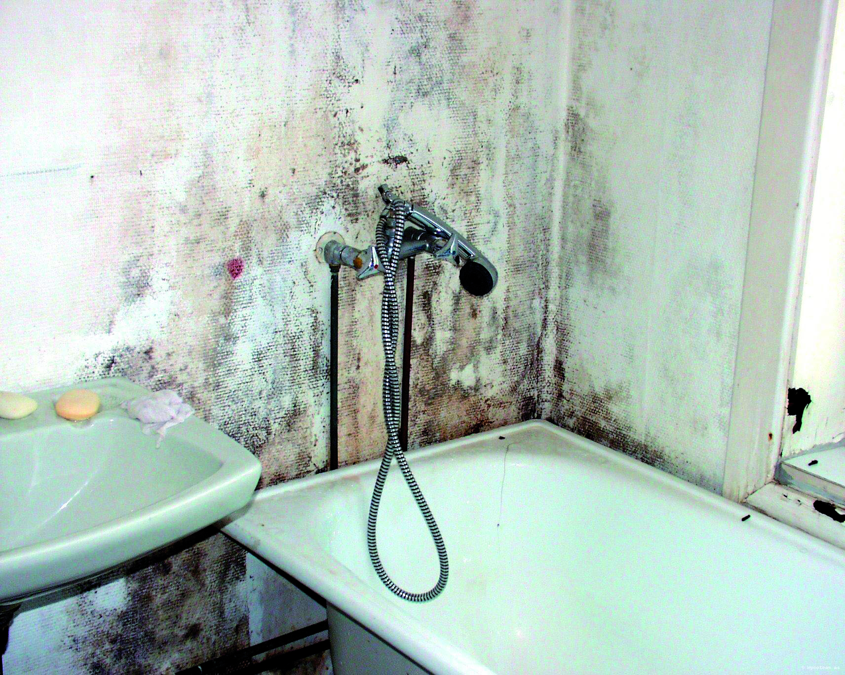 Bad og badekar med kraftig muggvekst på veggen