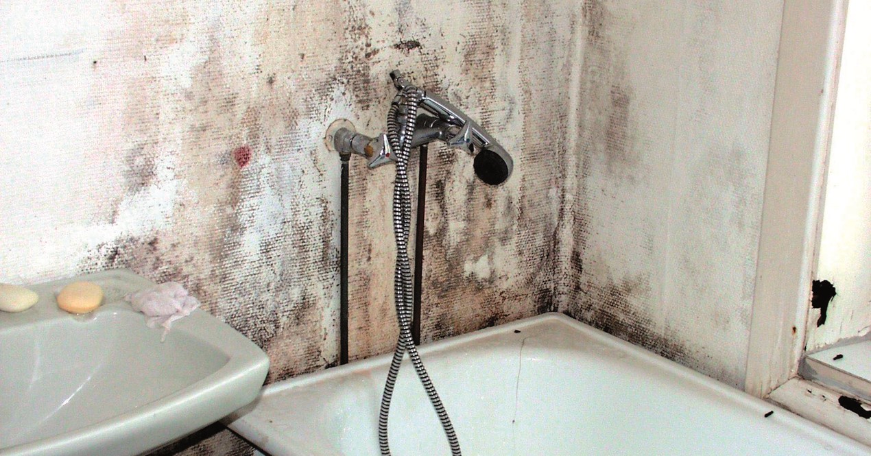 Bad og badekar med kraftig muggvekst på veggen