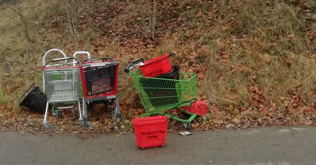 Foto av handlevogner stående ute i naturen