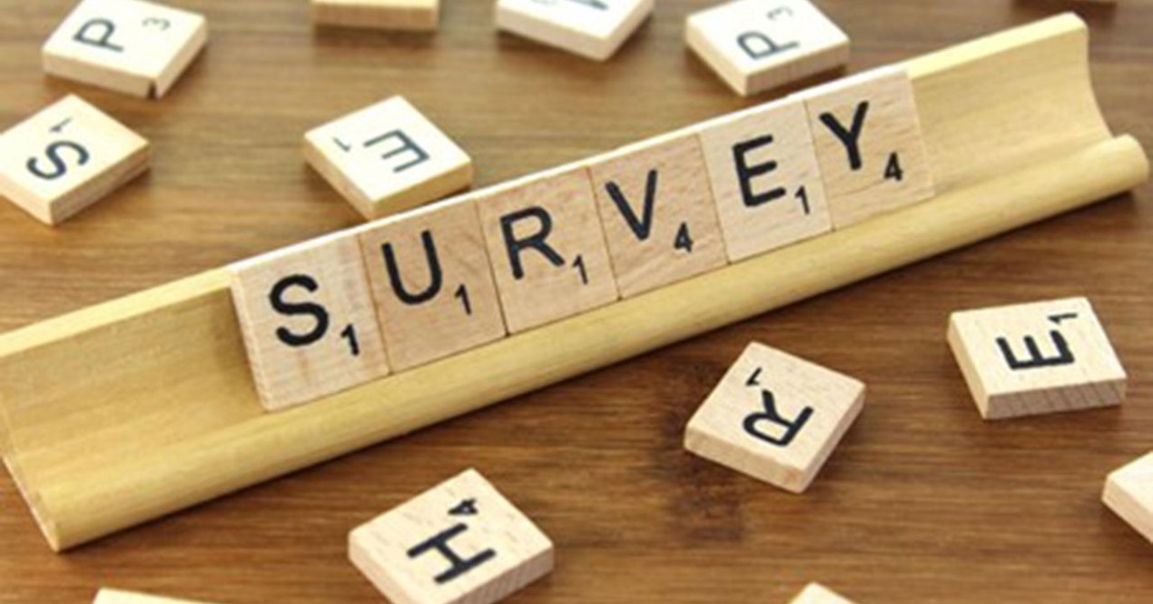 Bilde av scrabbel med bostavene SURVEY