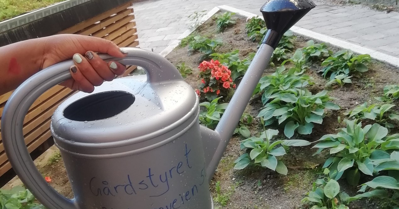 Bilde av bakgård som er rustet opp og hvor beboerne har fått tilskudd til å kjøpe inn diverse utstyr til beplantning.