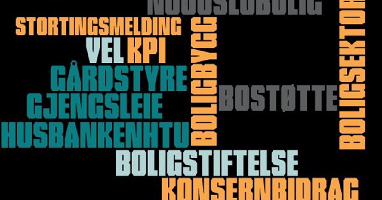 Ordsky med boligsosiale begreper